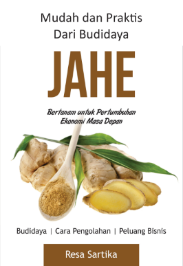 Mudah dan Praktis dari Budidaya Jahe Bertanam untuk Pertumbuhan Ekonomi Masa Depan